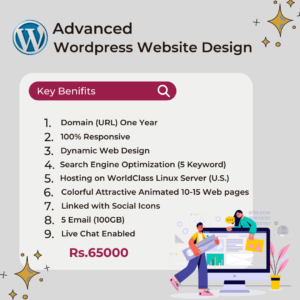 Advanced wordpress website designing