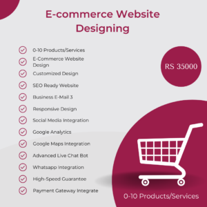 Silver E-commerce Website Designing