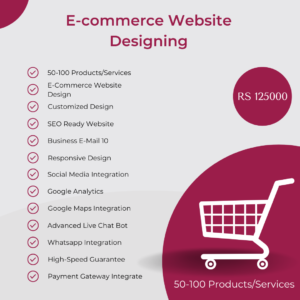 Platinum E-commerce Website Designing