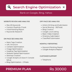 Premium Search Engine Optimization